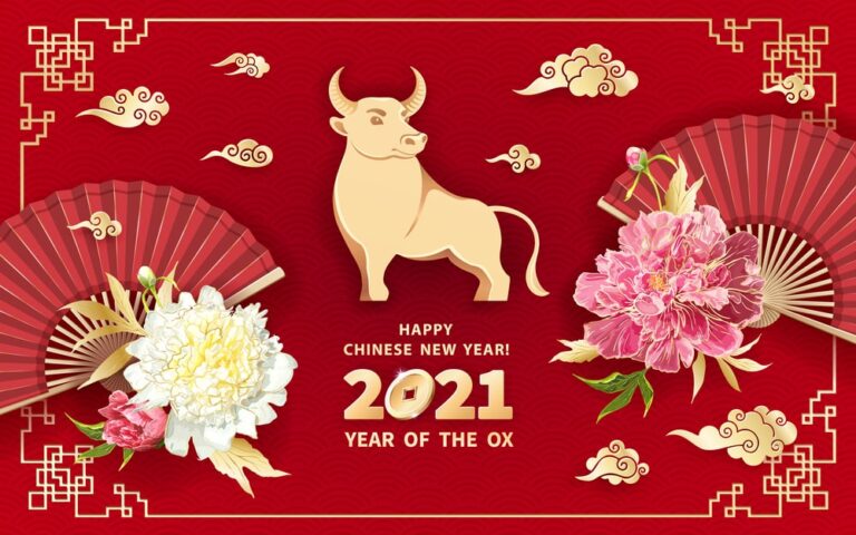 OX new year 2021