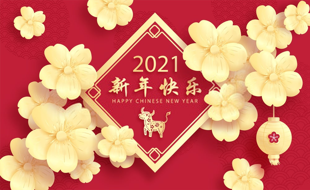 year of bull 2021